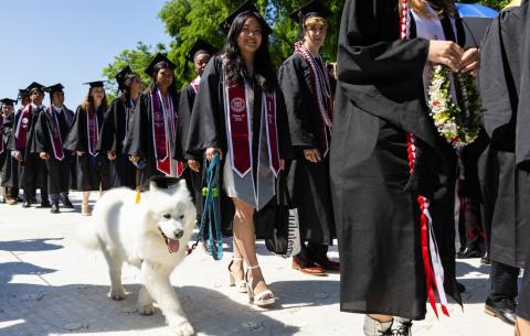 Image of graduates processing into Killian Court, including a white, fluffy dog